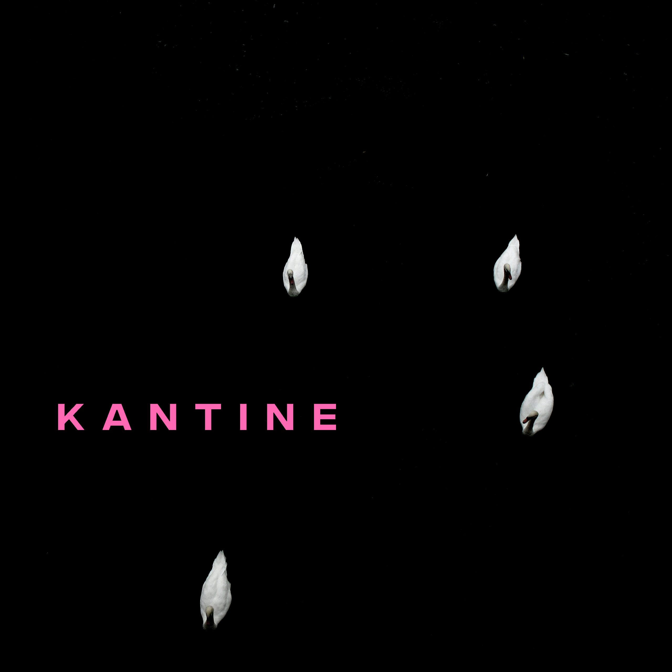 KANTINE Rosa LP cover